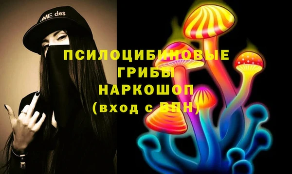 мяу мяу мука Бородино