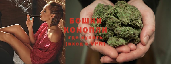 мяу мяу мука Бородино