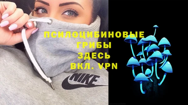 мяу мяу мука Бородино